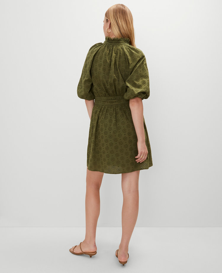 Petite Eyelet Ruffle Neck Flare Dress